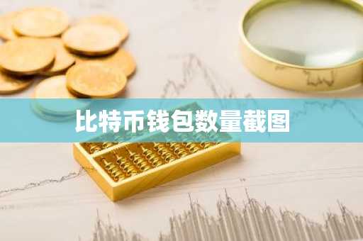 比特币钱包数量截图