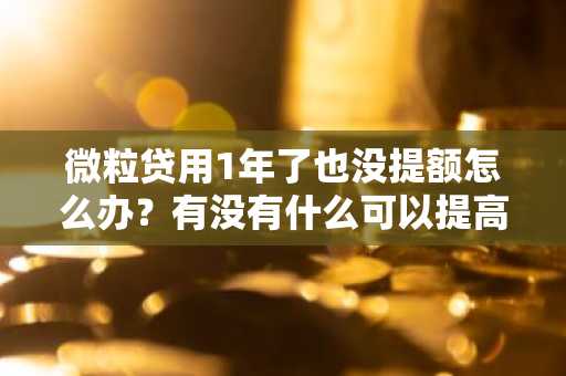 微粒贷用1年了也没提额怎么办？有没有什么可以提高额度的办法啊？