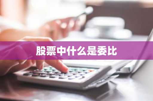 股票中什么是委比