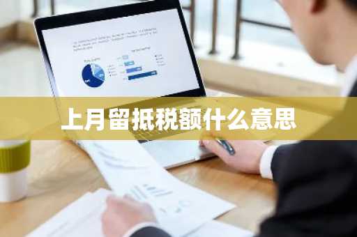 上月留抵税额什么意思