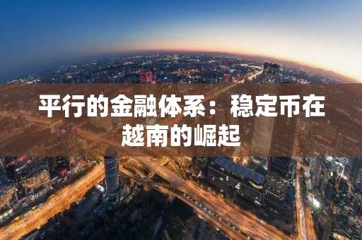 平行的金融体系：稳定币在越南的崛起