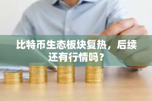 比特币生态板块复热，后续还有行情吗？