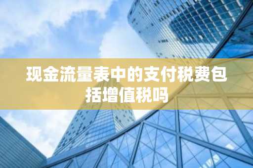 现金流量表中的支付税费包括增值税吗
