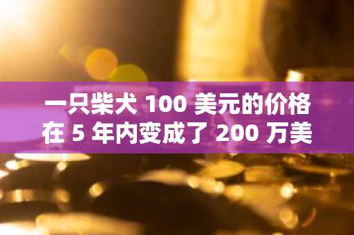 一只柴犬 100 美元的价格在 5 年内变成了 200 万美元：到 2030 年还能再次发生吗？