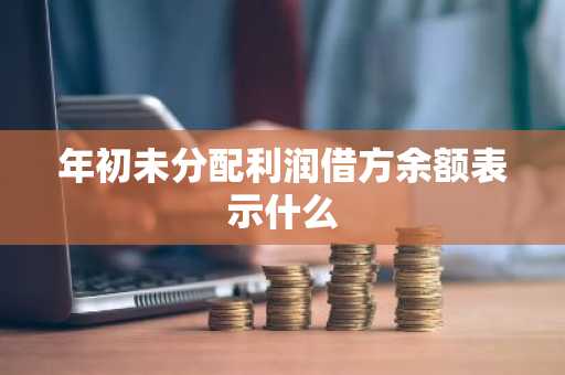 年初未分配利润借方余额表示什么