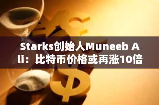 Starks创始人Muneeb Ali：比特币价格或再涨10倍至100万美元