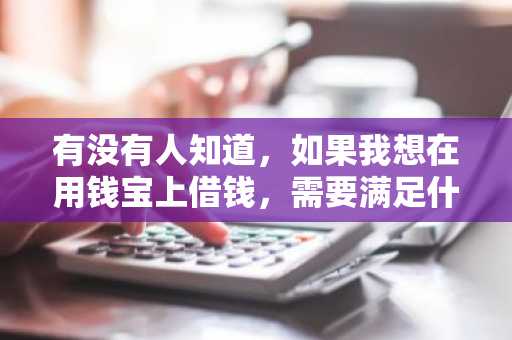 有没有人知道，如果我想在用钱宝上借钱，需要满足什么条件才能申请呢？