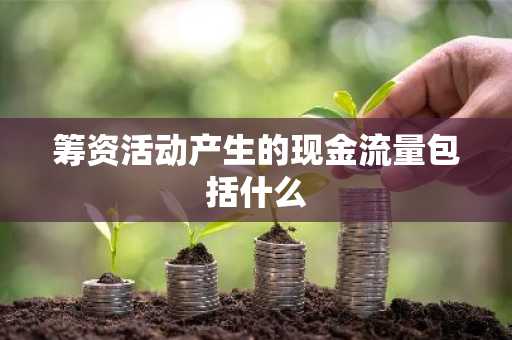 筹资活动产生的现金流量包括什么