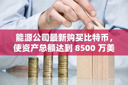 能源公司最新购买比特币，使资产总额达到 8500 万美元