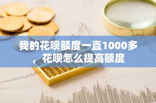 我的花呗额度一直1000多，花呗怎么提高额度