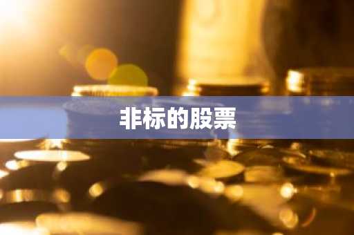 非标的股票