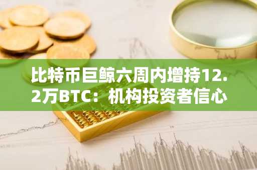 比特币巨鲸六周内增持12.2万BTC：机构投资者信心增强推动市场分歧