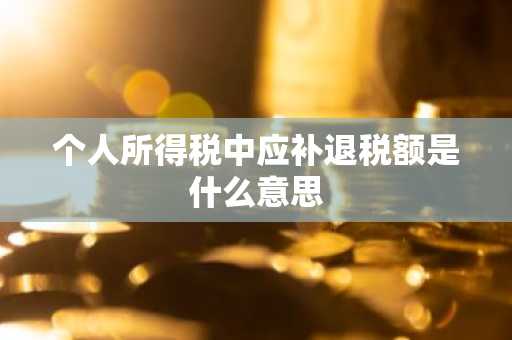 个人所得税中应补退税额是什么意思