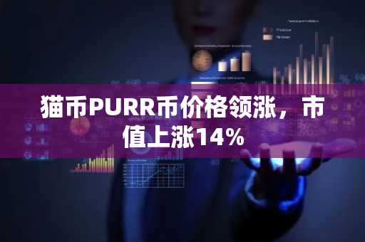 猫币PURR币价格领涨，市值上涨14%