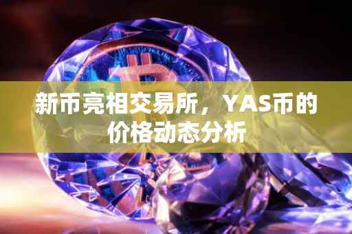 新币亮相交易所，YAS币的价格动态分析