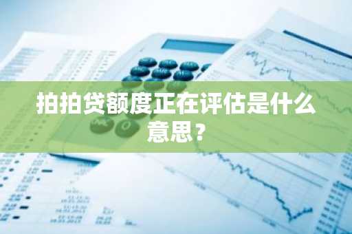 拍拍贷额度正在评估是什么意思？