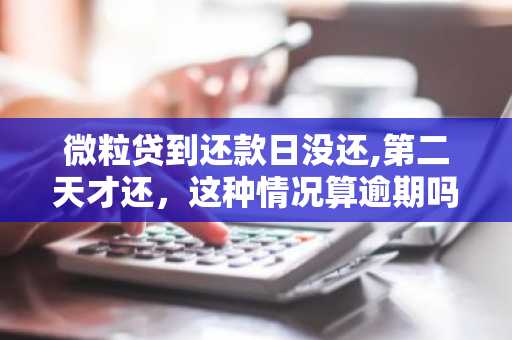 微粒贷到还款日没还,第二天才还，这种情况算逾期吗?