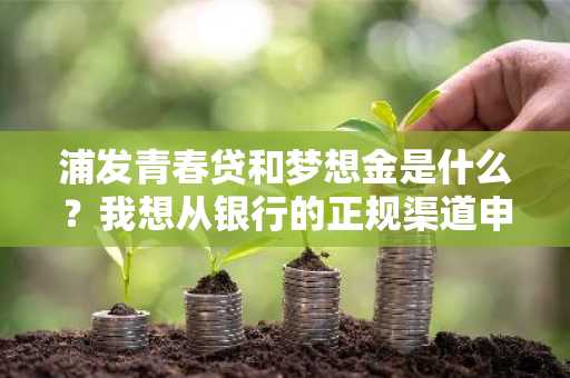 浦发青春贷和梦想金是什么？我想从银行的正规渠道申请一笔贷款。