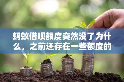 蚂蚁借呗额度突然没了为什么，之前还存在一些额度的