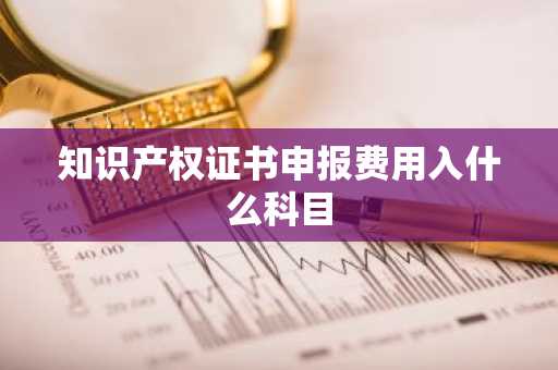 知识产权证书申报费用入什么科目