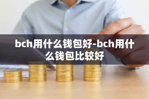 bch用什么钱包好-bch用什么钱包比较好