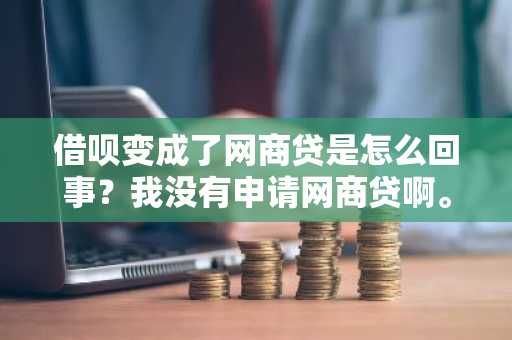 借呗变成了网商贷是怎么回事？我没有申请网商贷啊。