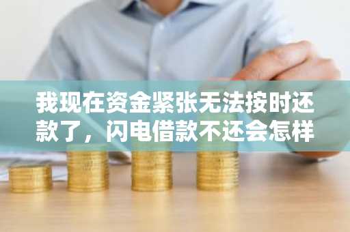 我现在资金紧张无法按时还款了，闪电借款不还会怎样