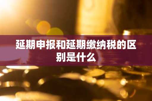 延期申报和延期缴纳税的区别是什么