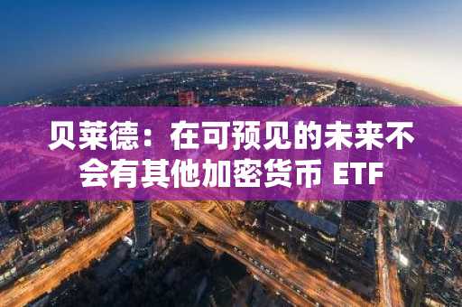 贝莱德：在可预见的未来不会有其他加密货币 ETF