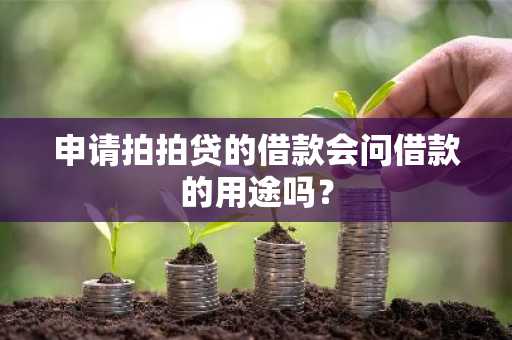 申请拍拍贷的借款会问借款的用途吗？