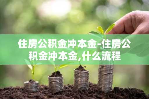 住房公积金冲本金-住房公积金冲本金,什么流程