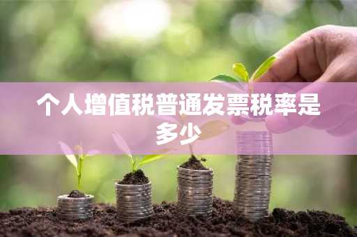 个人增值税普通发票税率是多少