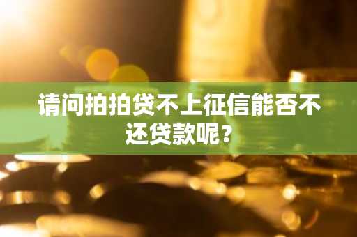 请问拍拍贷不上征信能否不还贷款呢？