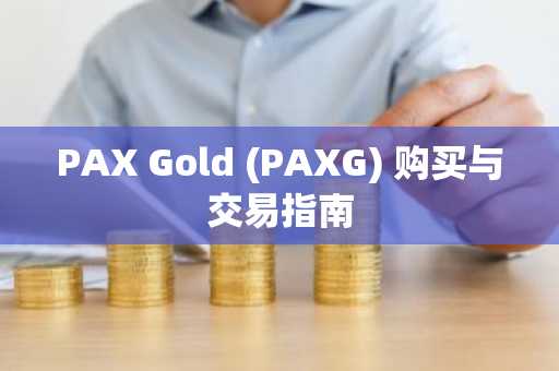 PAX Gold (PAXG) 购买与交易指南