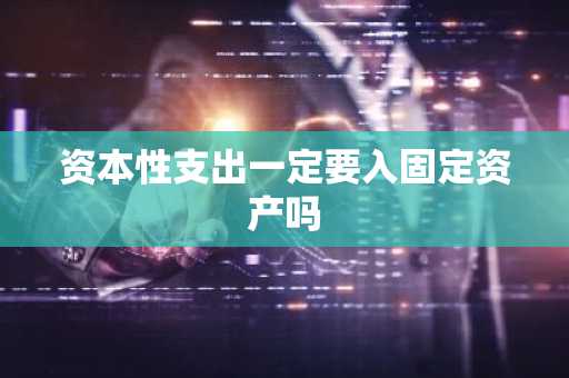 资本性支出一定要入固定资产吗
