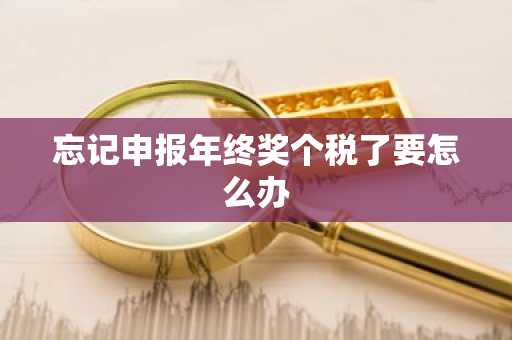 忘记申报年终奖个税了要怎么办