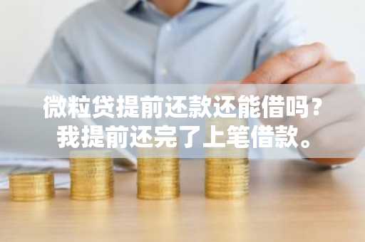 微粒贷提前还款还能借吗？我提前还完了上笔借款。