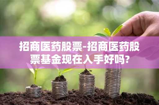 招商医药股票-招商医药股票基金现在入手好吗?
