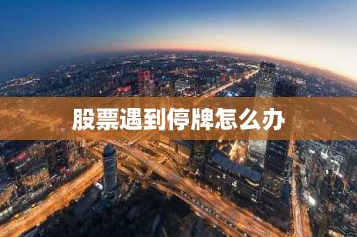 股票遇到停牌怎么办