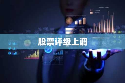 股票评级上调