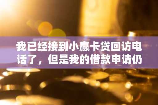我已经接到小赢卡贷回访电话了，但是我的借款申请仍然被拒了，这是为什么？