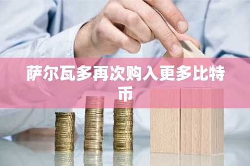 萨尔瓦多再次购入更多比特币