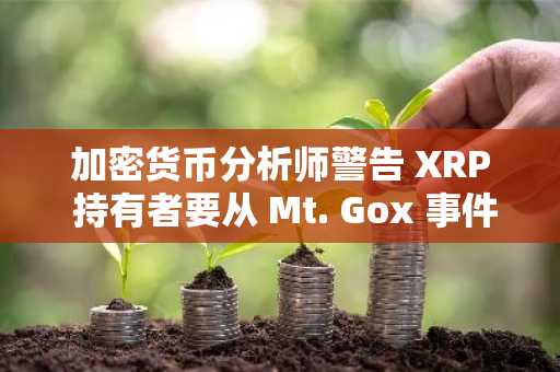 加密货币分析师警告 XRP 持有者要从 Mt. Gox 事件中吸取教训
