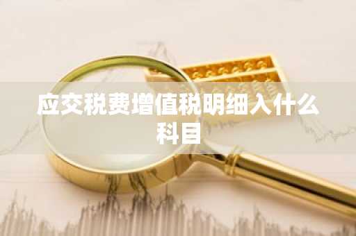 应交税费增值税明细入什么科目