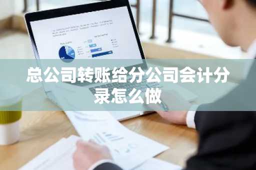 总公司转账给分公司会计分录怎么做