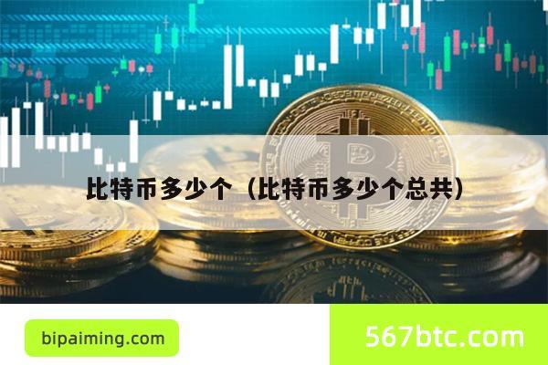 比特币多少个（比特币多少个总共）