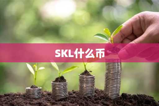 SKL什么币