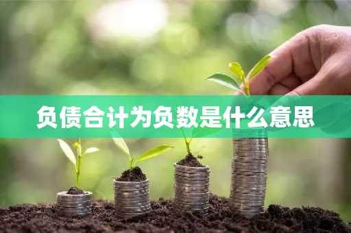负债合计为负数是什么意思