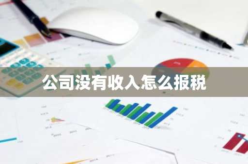 公司没有收入怎么报税