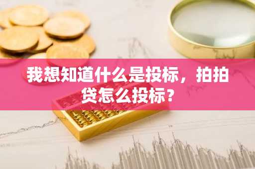 我想知道什么是投标，拍拍贷怎么投标？